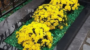 Желтые цветы на могиле